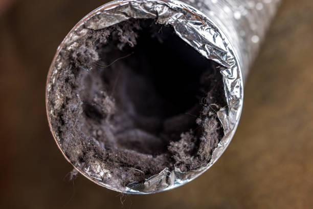 Best Home Air Vent Cleaning  in North Merritt Island, FL