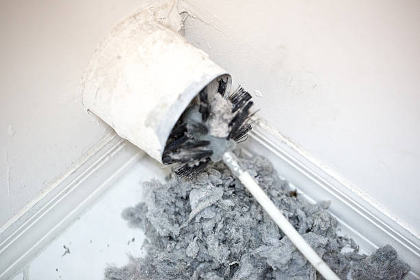 Best Residential Air Duct Cleaning  in North Merritt Island, FL